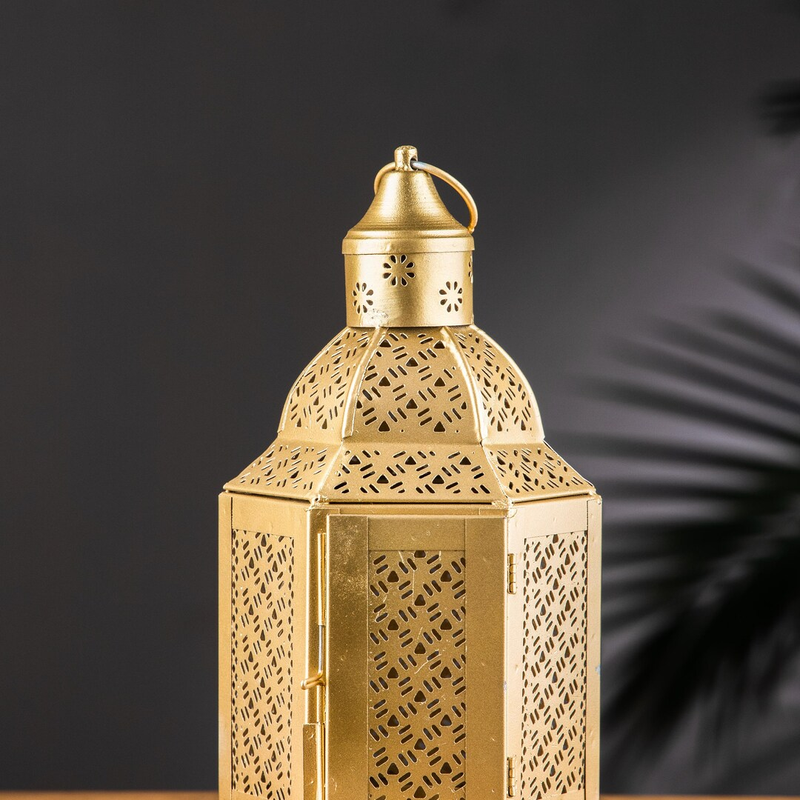 54345851-d4fe-44d6-9991-7fb25b4be7cd_0cde558f-95a2-4161-ae86-70282cdfbb30-4x