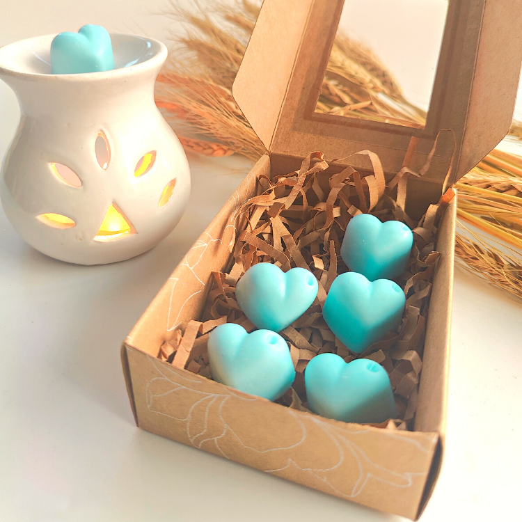 dca31c42-5c2a-431c-9081-480485951b87_404c464f-b20b-480f-b1ee-1f9bd958b4ec